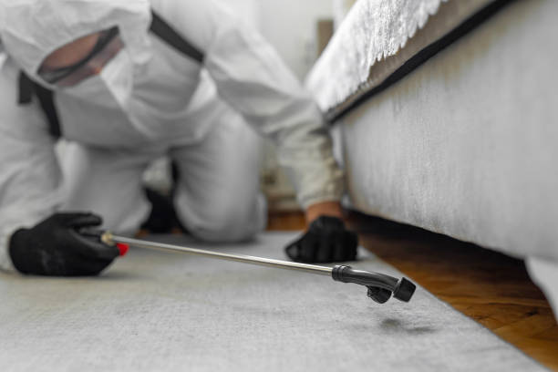 Professional Mosquito Control technician working in Von Ormy, TX