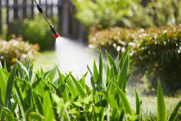 24/7 Emergency Mosquito Control experts in Von Ormy, TX