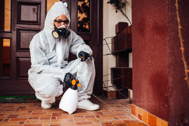 Reliable Mosquito Control contractor in Von Ormy, TX by Nex Pest Control